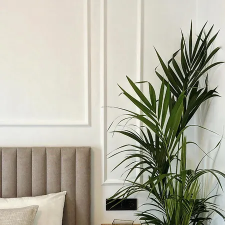 Raices Alojamiento Homestay Ribeira
